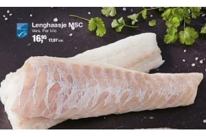 lenghaasje msc