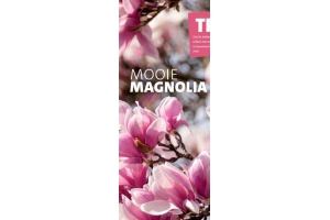 beverboom magnolia