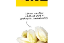 hollandse witlof