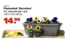 plantenbak barcelona