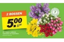 ah tulpen dubbele narcissen en hyacinten