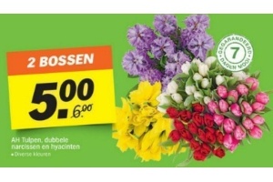 ah tulpen dubbele narcissen en hyacinten