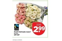 plus fairtrade rozen