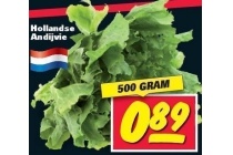 hollandse andijvie