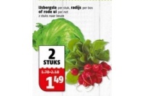 ijsbergsla radijs of rode ui