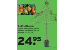 leifruitboom