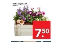 kistje opgemaakt