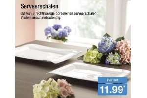 serveerschalen