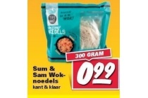 sum en sam woknoedels
