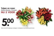 tulpen en rozen