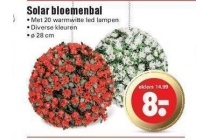 solar bloemenbal nu al vanaf eur8