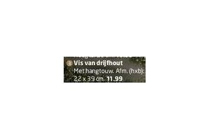 vis van drijfhout