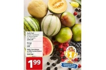 zacht fruit mango galia cantaloupe en mini watermeloen