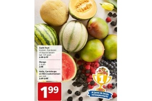 zacht fruit mango galia cantaloupe en mini watermeloen