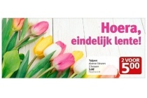 bos tulpen diverse kleuren