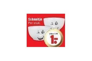 schaaltje
