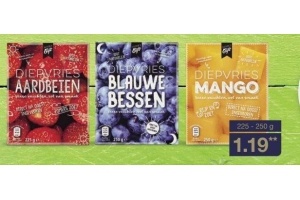 diepvries aardbeien blauwe bessen of mango