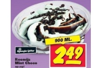 bijzonder lekker roomijs mint choco