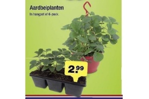 aardbeiplanten