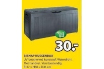 bisnap kussenbox