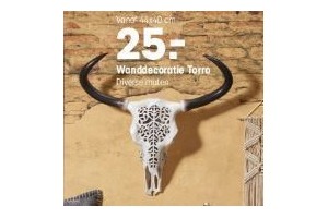 wanddecoratie torro