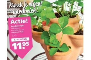 aardbeienpot