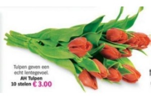 ah tulpen