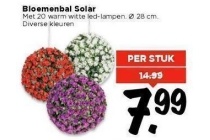 bloemenbal solar