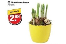 ei met narcissen