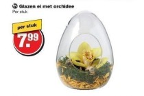 glazen ei met orchidee