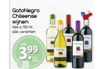 gatonegro chileense wijnen