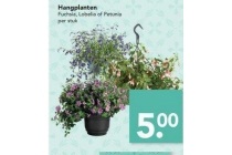 hangplanten