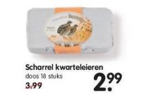 scharrel kwarteleieren