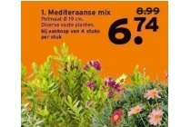 mediteraanse mix