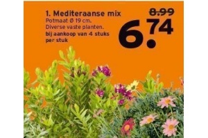 mediteraanse mix