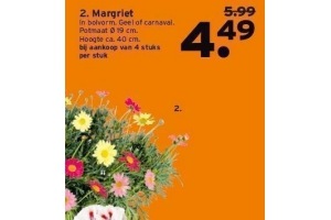 margriet