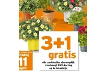 all combinaties van bloemen en planten