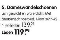 dameswandelschoenen