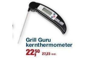 grill guru kernthermometer