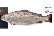 zeeforel