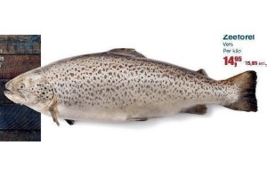 zeeforel