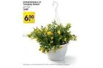 zomerbloeiers in hanging basket