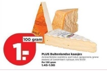 plus buitenlandse kaasjes