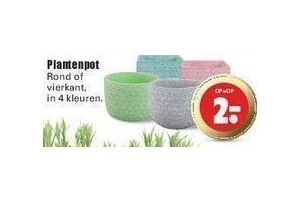 plantenpot