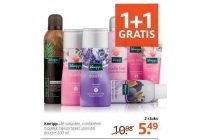 kneipp