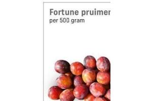 fortune pruimen