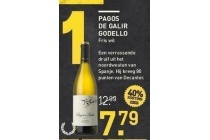 pagos de galir godello