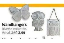 wandhanger nu voor 2 99