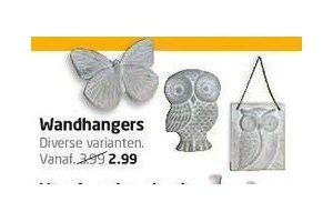 wandhanger nu voor 2 99