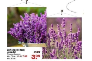 buitenschilderij lavendel